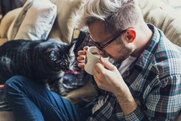 Санкт-Петербург: Северная столица на передовой защиты экологии Санкт-Петербург: Северная столица на передовой защиты экологии