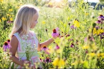 Санкт-Петербург: Открытки помогут детям Санкт-Петербург: Открытки помогут детям