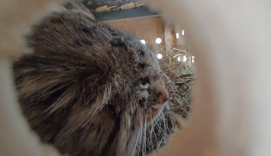 Добрые новости недели Добрые новости недели