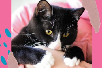 Санкт-Петербург: Сколько любви может подарить 30-ти граммовое сердце? Санкт-Петербург: Сколько любви может подарить 30-ти граммовое сердце?