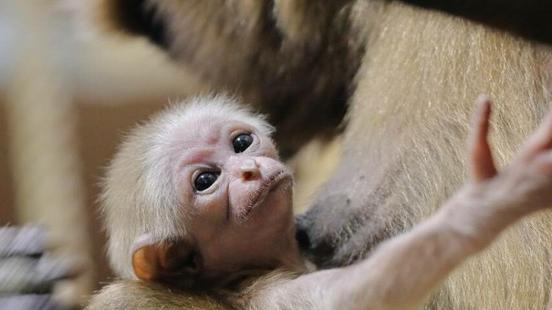 Добрые новости недели