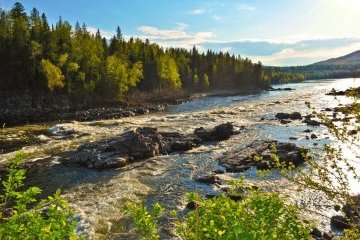 Мир: День природы