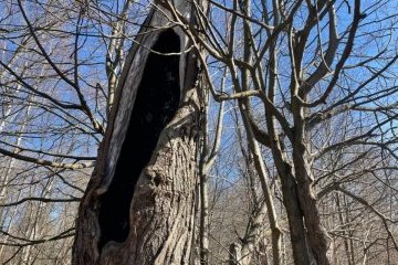 Санкт-Петербург: Сказочные герои Финского залива