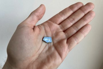 Санкт-Петербург: Добрые новости недели