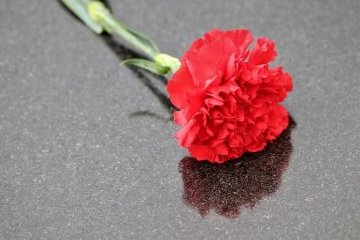 Санкт-Петербург: Молодёжный арт-проект придаст Великой Победе особое звучание