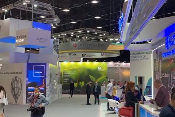 Санкт-Петербург: Вложения в музыку, добровольчество и экологию