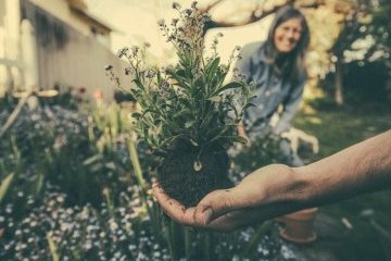 Мир: Экология важна для всех