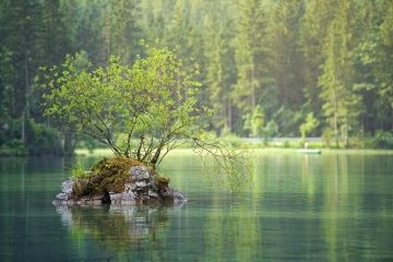 Санкт-Петербург: Экология с доставкой на дом