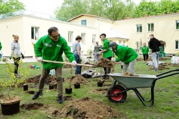 Санкт-Петербург: Делаем город изумрудным Санкт-Петербург: Делаем город изумрудным