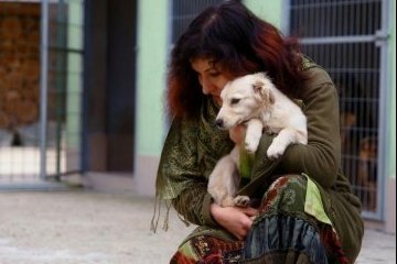 Санкт-Петербург: Улучшение экологии помогает животным Санкт-Петербург: Улучшение экологии помогает животным