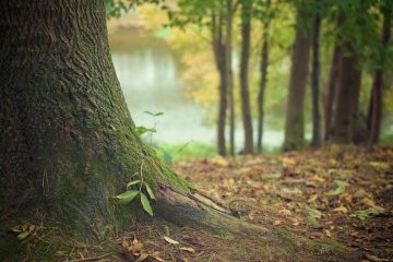 Тверская область: Научимся беречь природу