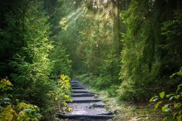 Мир: Проснулся - убери за собой планету