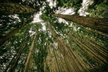 Россия: Не завышай эго, будь ЭКО.