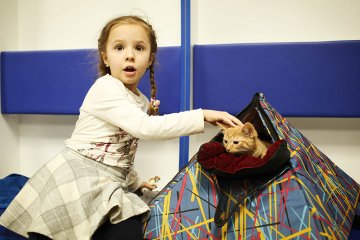 Санкт-Петербург: Кот - это патриотично