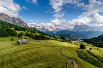 Санкт-Петербург: Удачи на даче
