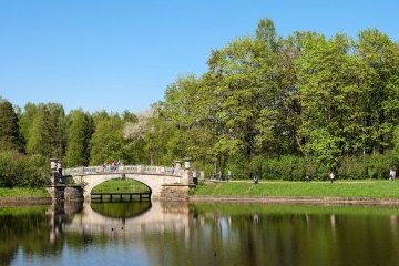 Россия: На защите экологии