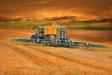 Ростовская область: Сельская жизнь нового поколения