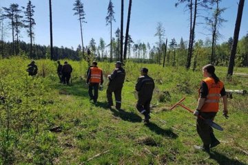 В национальном парке «Лосиный остров» высадят 40 тысяч саженцев деревьев В национальном парке «Лосиный остров» высадят 40 тысяч саженцев деревьев