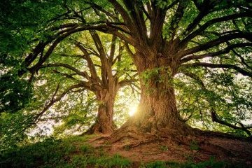 Россия: «Разделяй с нами»