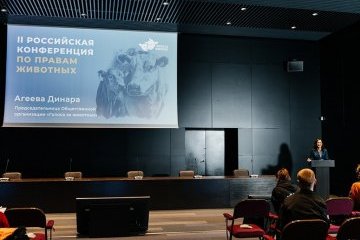 Санкт-Петербург: Подведены итоги международной конференции по правам животных