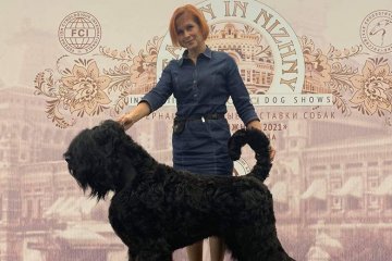 Санкт-Петербург: Выставка четвероногих друзей «Белые ночи III»