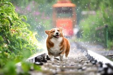 Россия: Настоящие герои живут среди людей