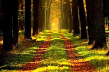 Россия: Доступны новые экоподкасты 