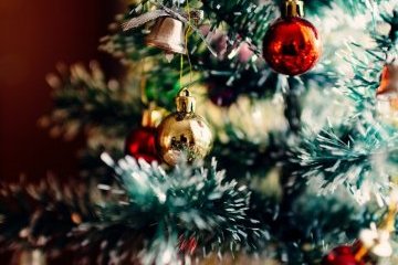 Санкт-Петербург: Ёлка желаний Санкт-Петербург: Ёлка желаний