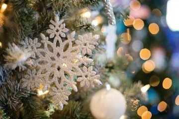 Санкт-Петербург: Ёлка на Дворцовой площади – одна из самых высоких в России