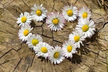 Санкт-Петербург: Вместе делаем добрые дела