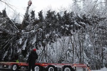 Санкт-Петербург: Ждать уже недолго, скоро будет ёлка